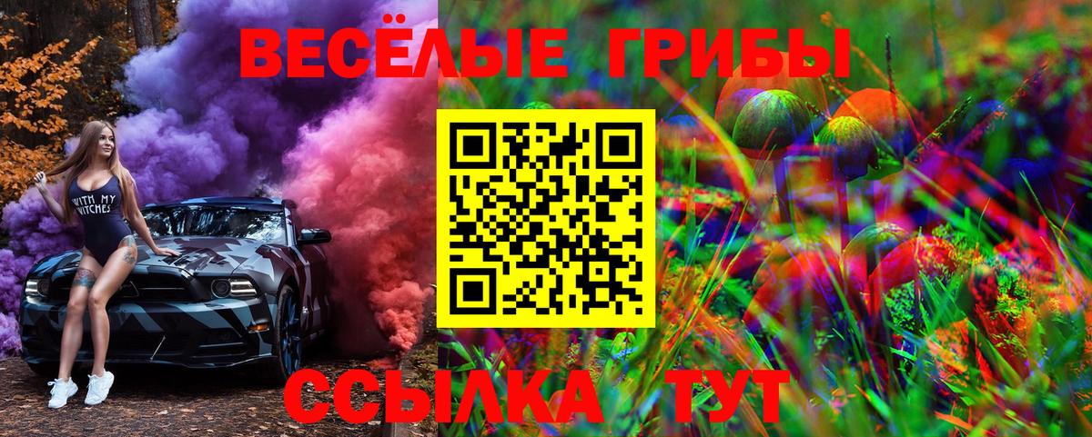 Тосно  Псилоцибиновые грибы ЛСД  Вход с VPN  Псилоцибиновые грибы Psilocybe 